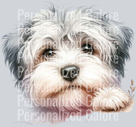 dog_385