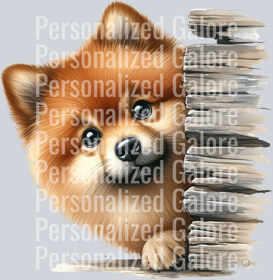 dog_357