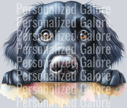 dog_352