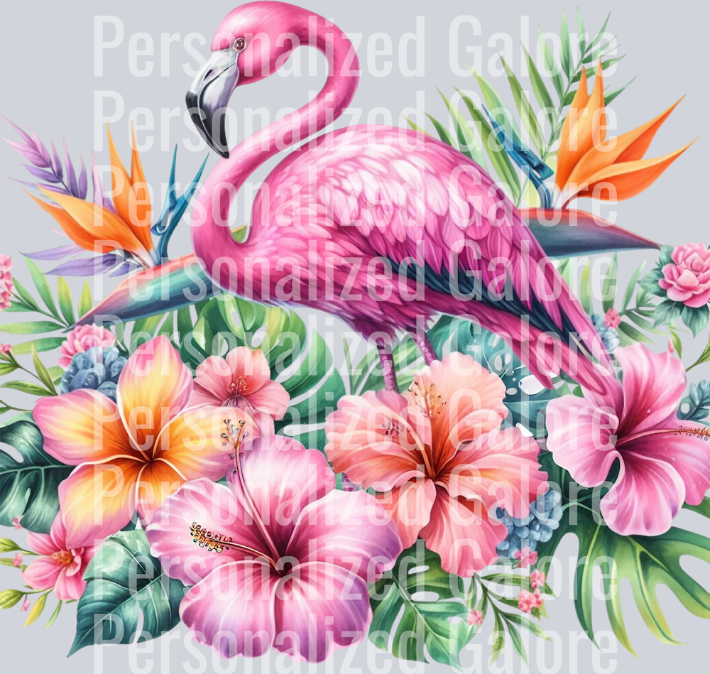 flamingo_064
