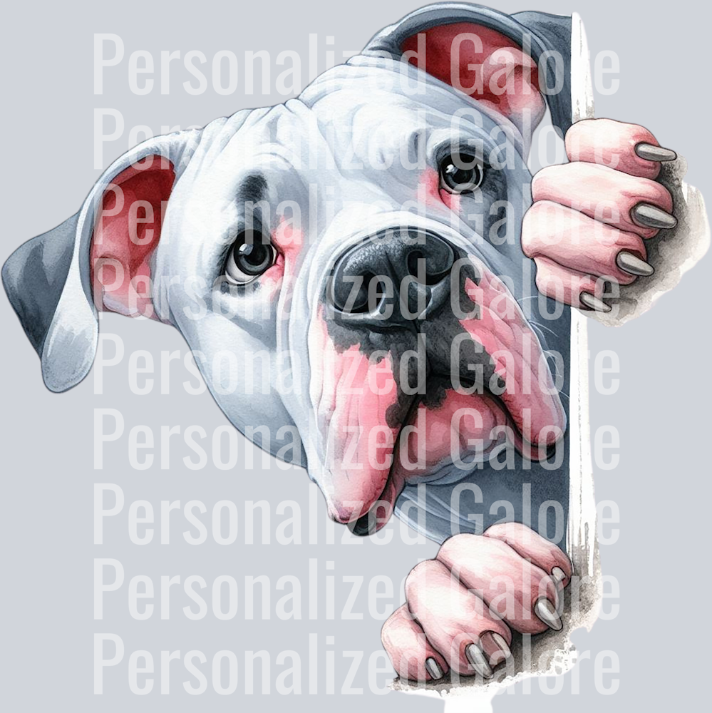 dog_378