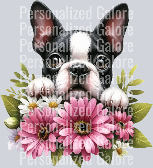 dog_449