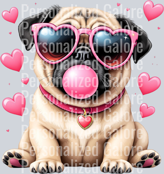 dog_062