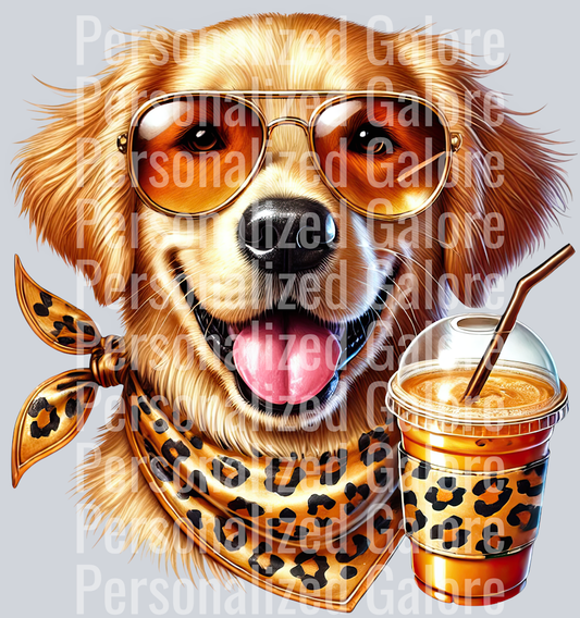 dog_115