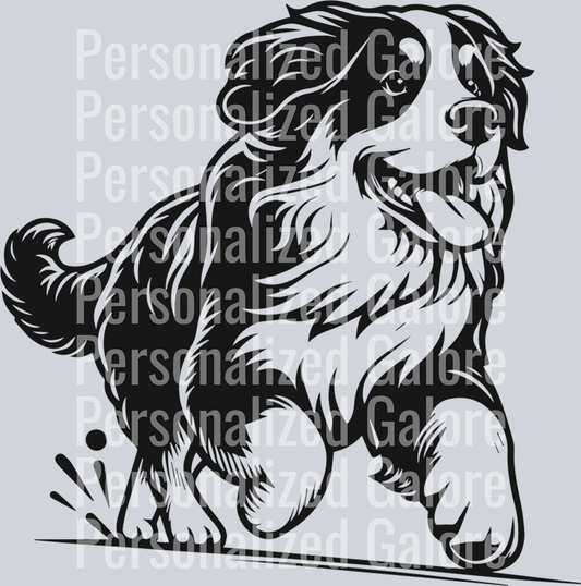 dog_205