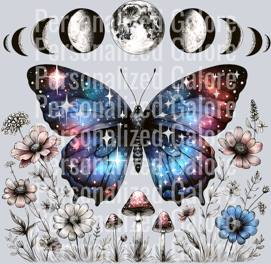 butterfly_043