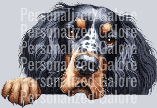 dog_323