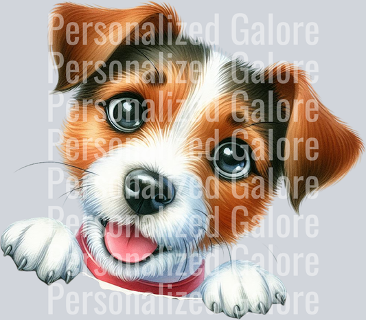 dog_293