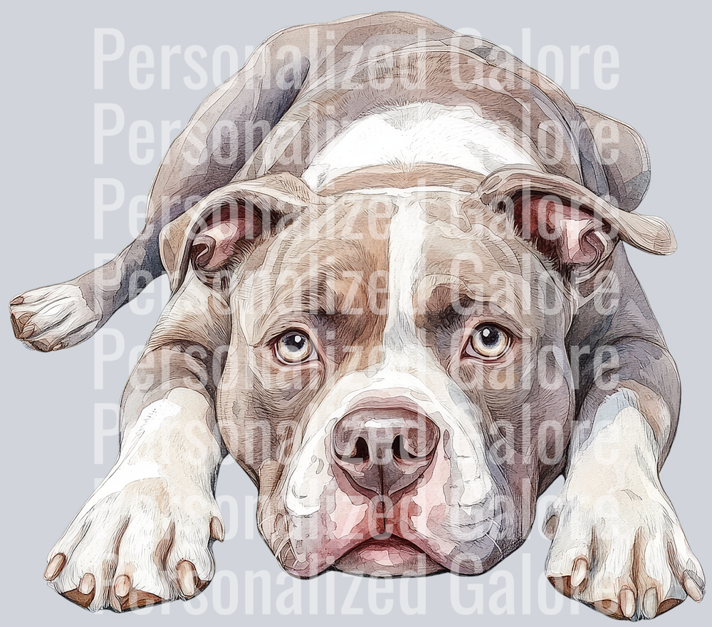 dog_588