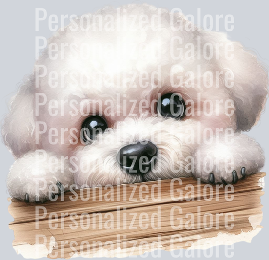 dog_462