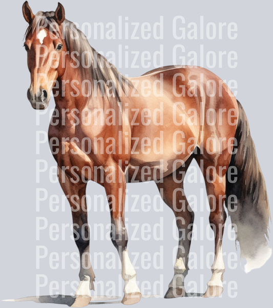 horse_011