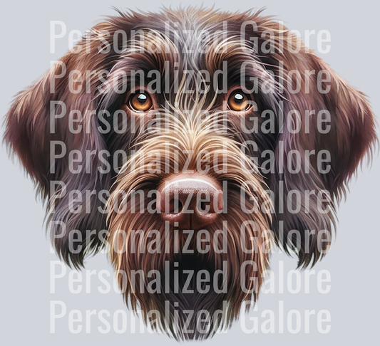 dog_335