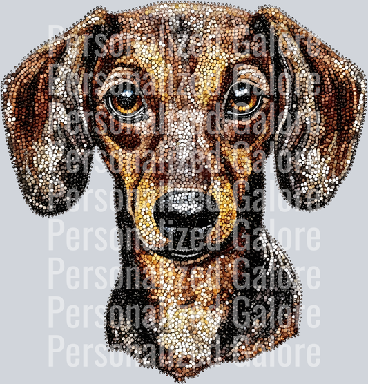 dog_074