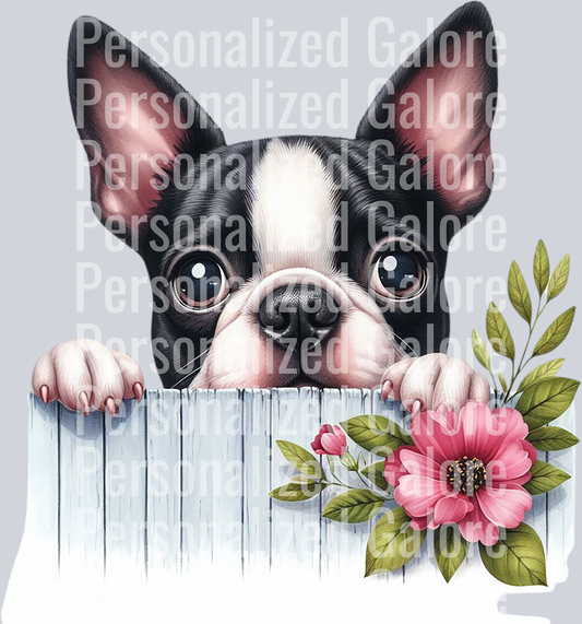 dog_450