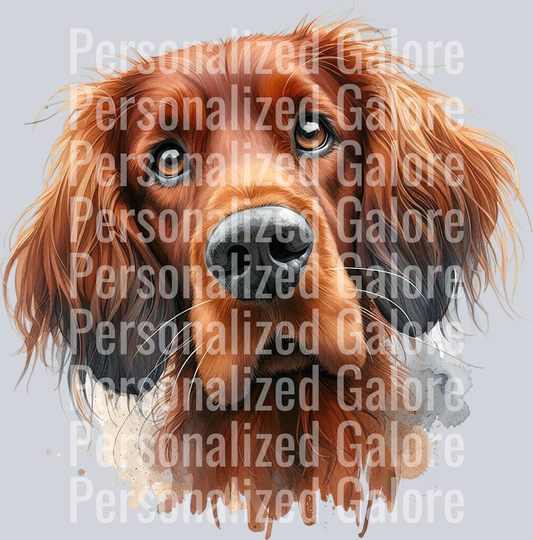 dog_301
