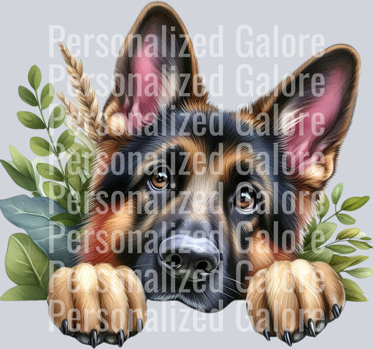 dog_342