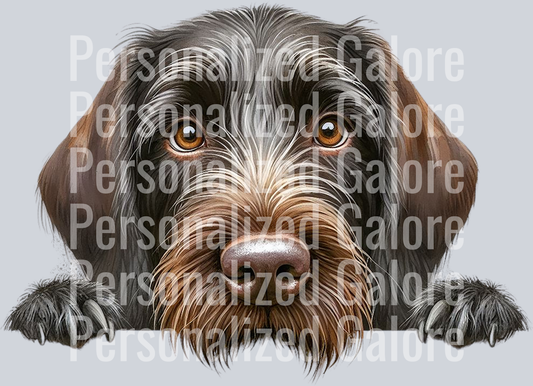 dog_336