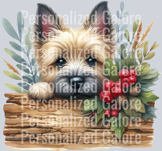 dog_429