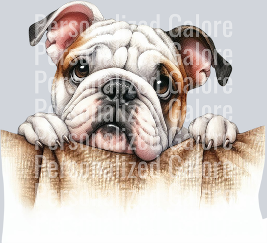 dog_437
