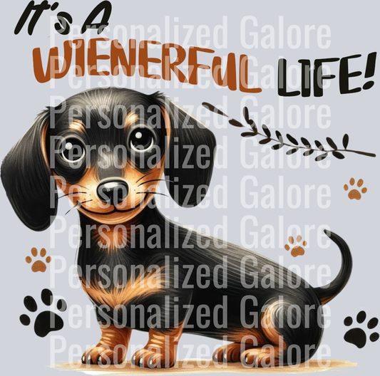 dog_511