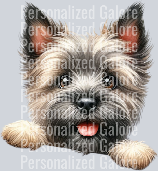 dog_430