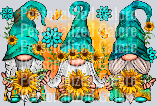 Gnome_037