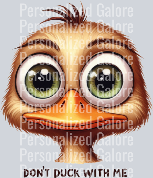 duck_053
