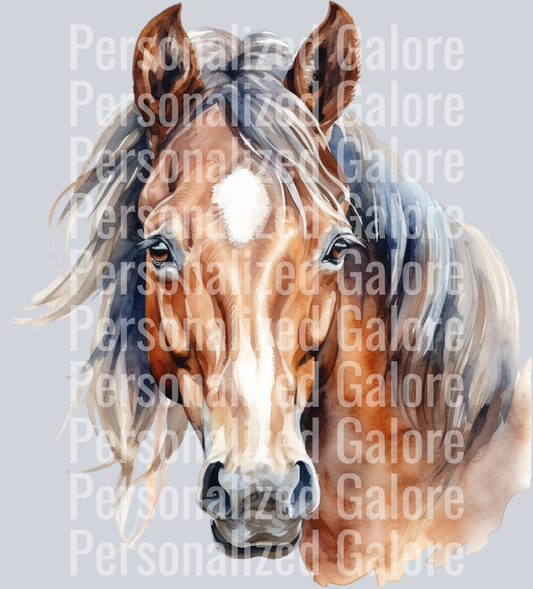 horse_006