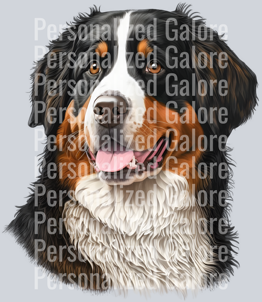 dog_258