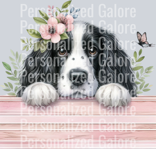 dog_360
