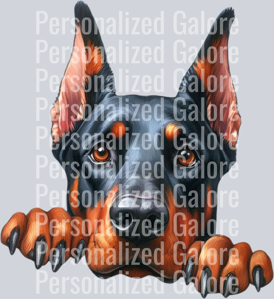 dog_381