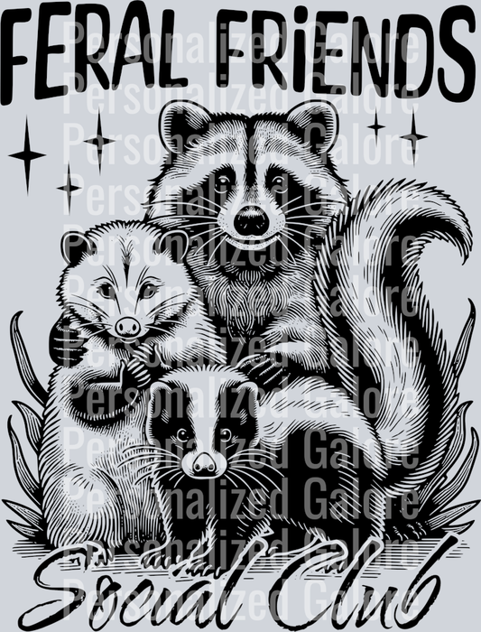 raccoon_008