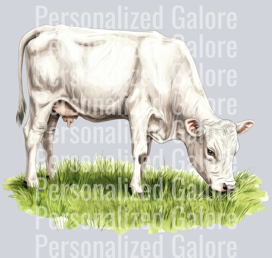 cow_304