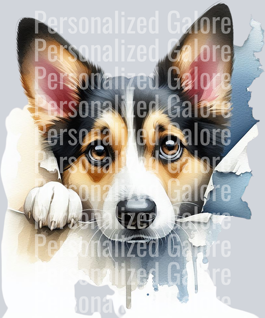 dog_426