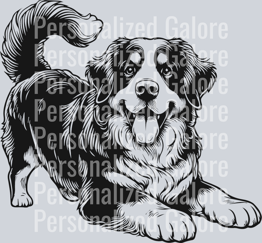 dog_248
