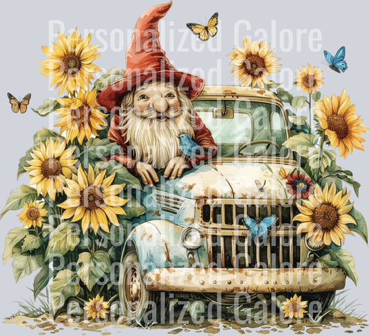 Gnome_031