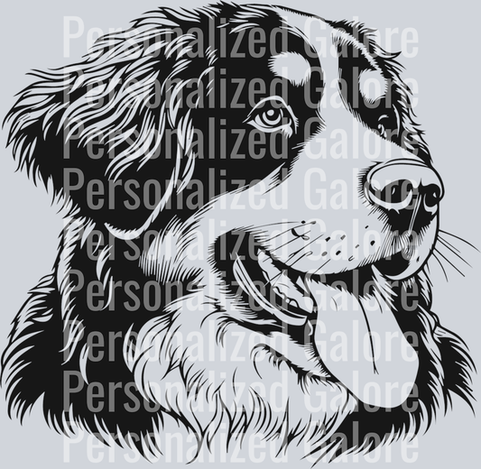 dog_240