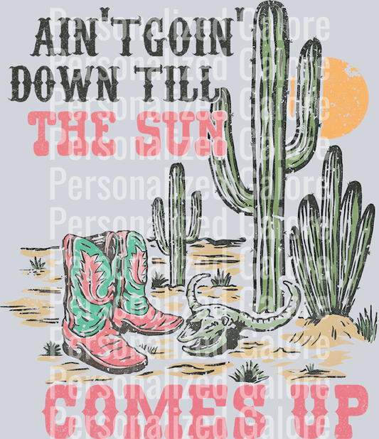 western_330