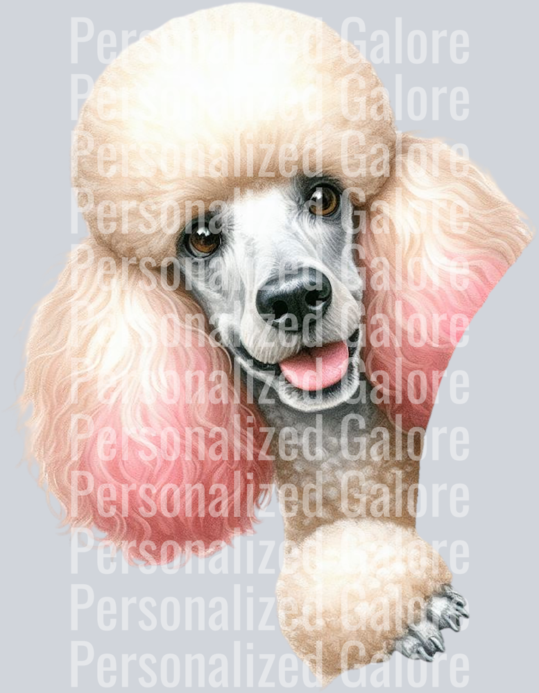 dog_504