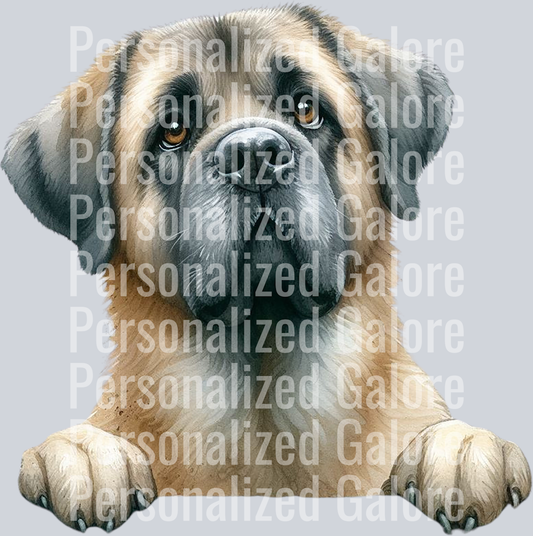 dog_563