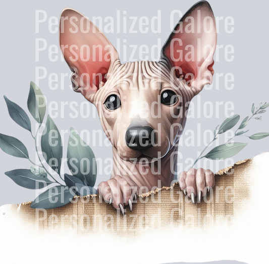 dog_497