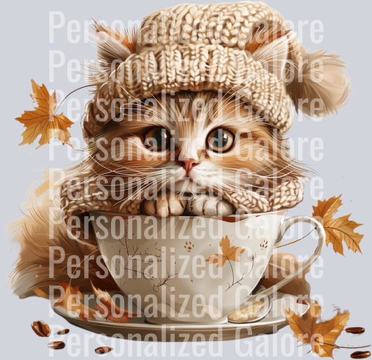 cat_035