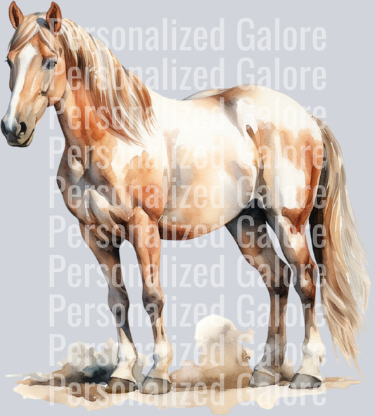 horse_015