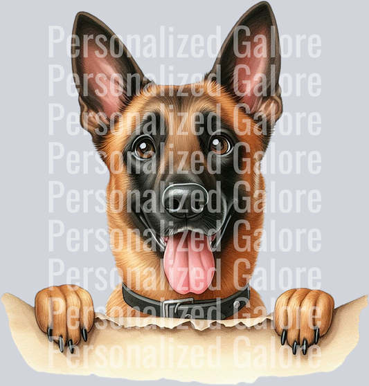 dog_472