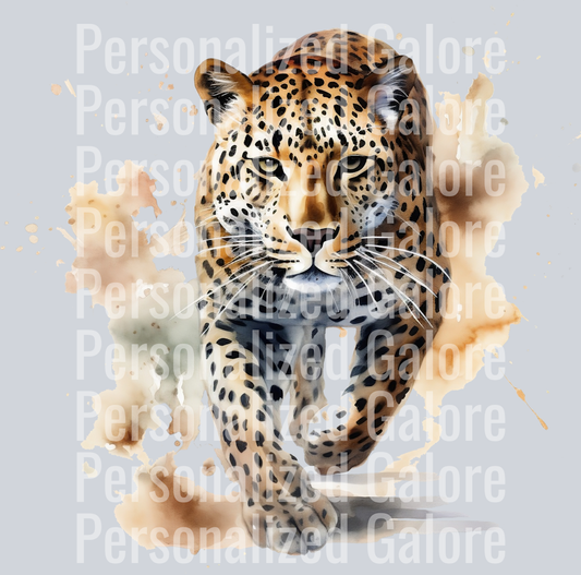 leopard_007