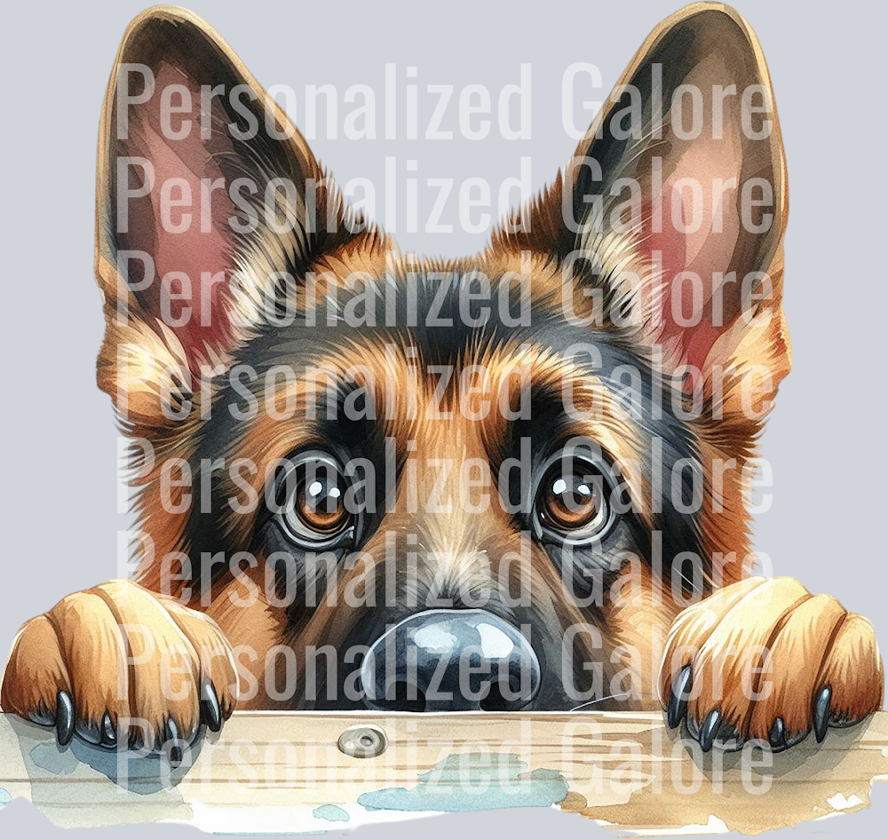 dog_344