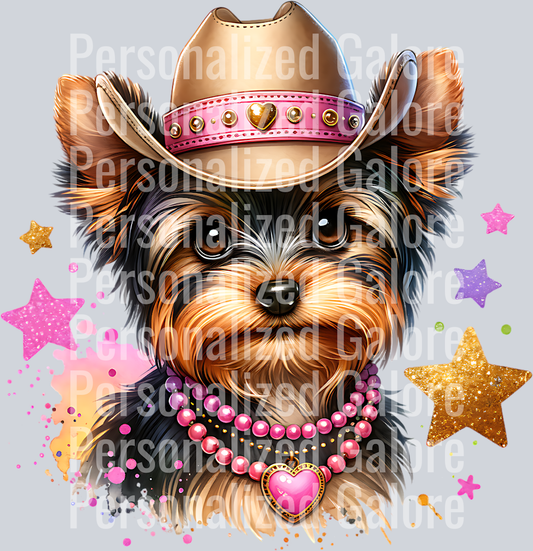 dog_097