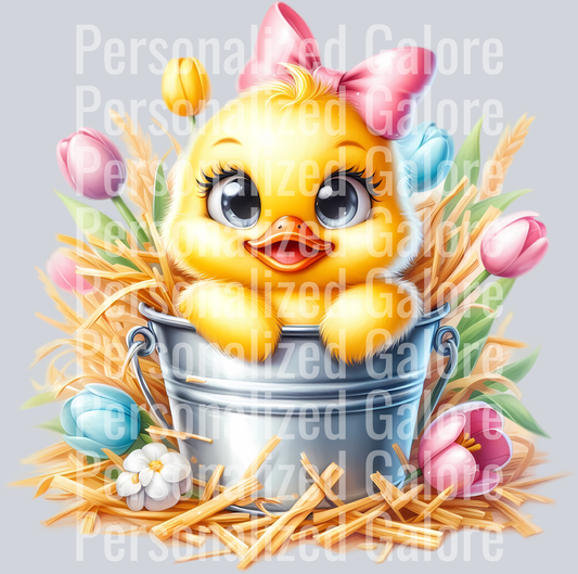 duck_123