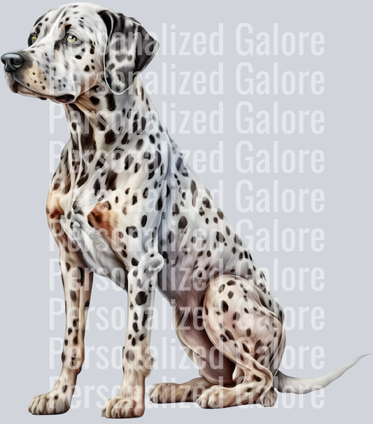 dog_078
