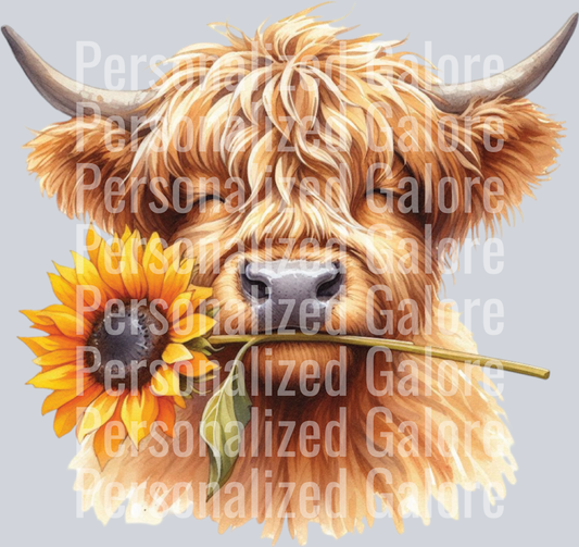 cow_335